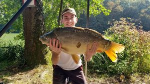 Mirror Carp