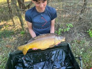 Mirror Carp