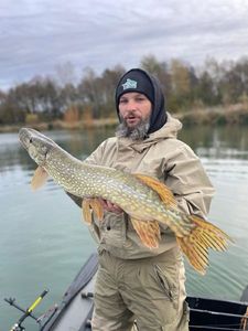 Northern Pike