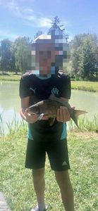 Common Carp