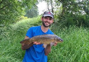 Common Carp