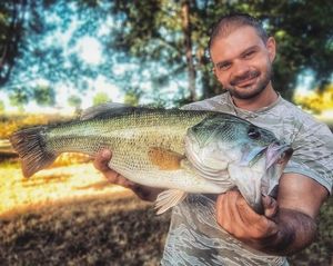 Largemouth Bass