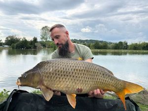 Common Carp