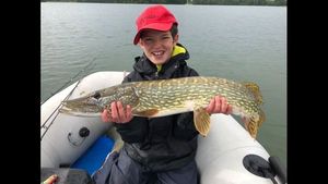 Chain Pickerel