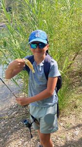 Largemouth Bass