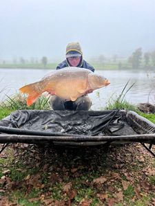 Mirror Carp
