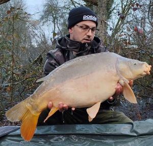 Mirror Carp