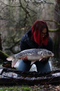 Koï Fish