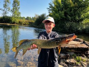 Northern Pike