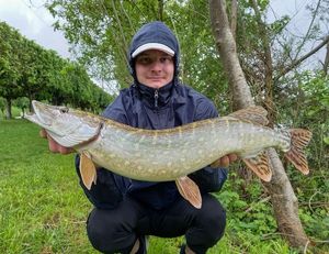 Northern Pike