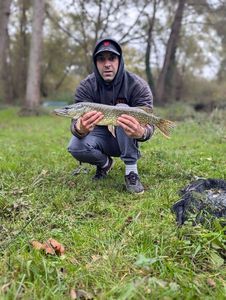 Northern Pike