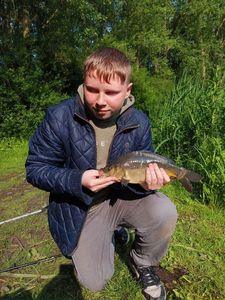 Grass Carp