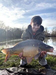 Mirror Carp