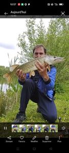 Northern Pike