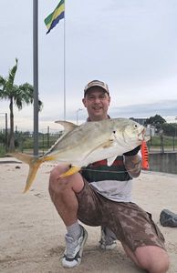 Crevalle Jack