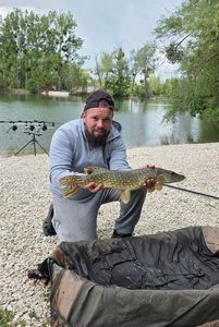 Northern Pike