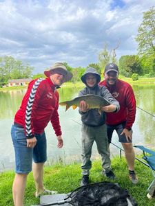 Common Carp