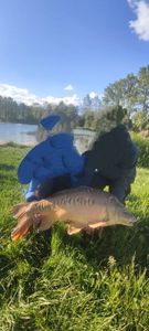 Mirror Carp