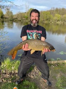 Common Carp
