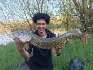 Northern Pike