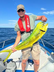 Dolphinfish