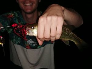 Smallmouth Bass