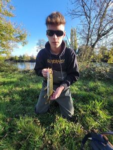 Northern Pike