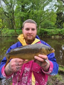 Mirror Carp