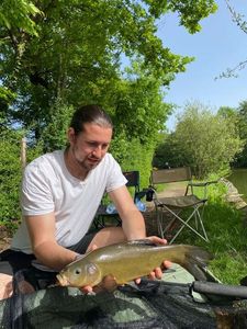Tench