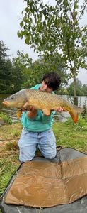 Common Carp