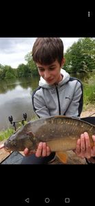 Mirror Carp