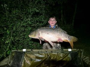 Mirror Carp