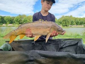 Mirror Carp