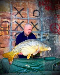 Common Carp