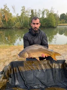 Mirror Carp