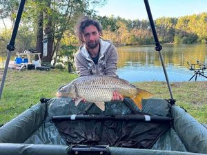 Common Carp