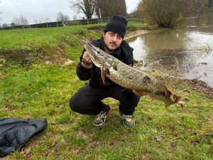 Northern Pike