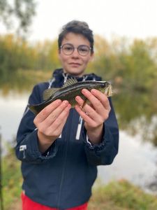 Largemouth Bass