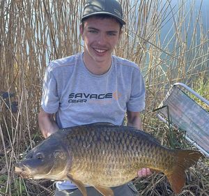 Common Carp