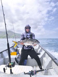 Crevalle Jack