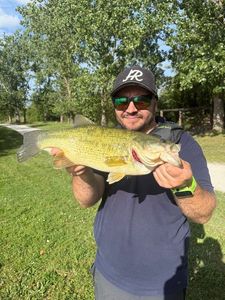 Largemouth Bass