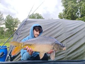 Mirror Carp