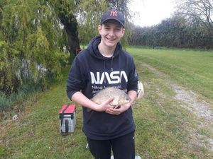 Crucian Carp