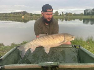 Grass Carp