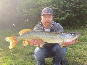 Northern Pike