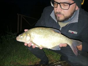 Common Bream
