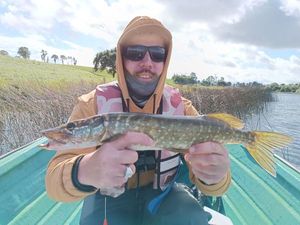 Northern Pike