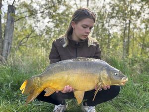 Mirror Carp