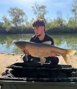 Grass Carp