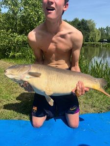 Mirror Carp